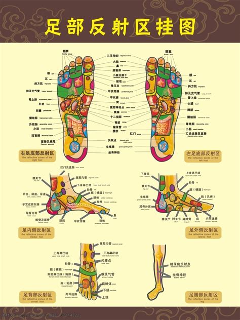 穴位|穴位